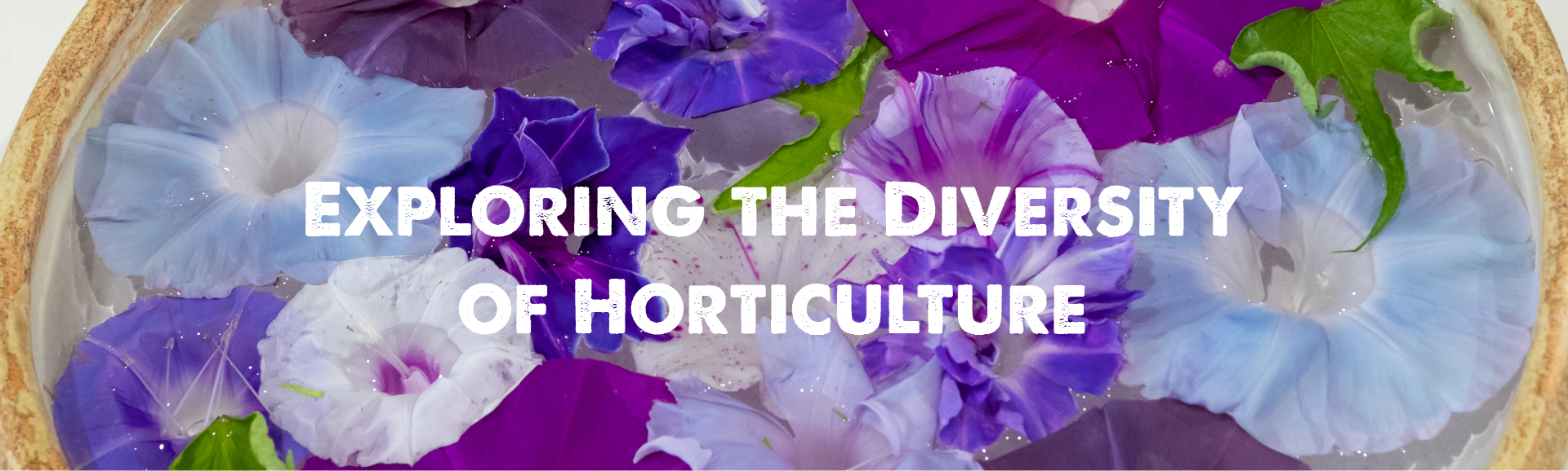 Exploring the Diversity of Horticulture